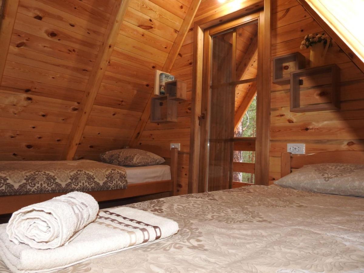 The Pine Forest Cottage Žabljak Extérieur photo
