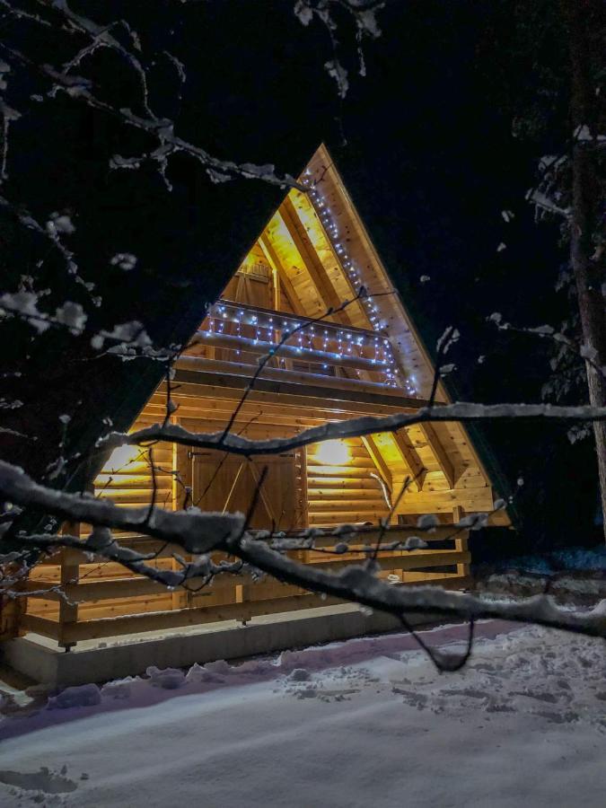 The Pine Forest Cottage Žabljak Extérieur photo